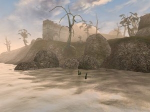 Кадры и скриншоты The Elder Scrolls III: Morrowind