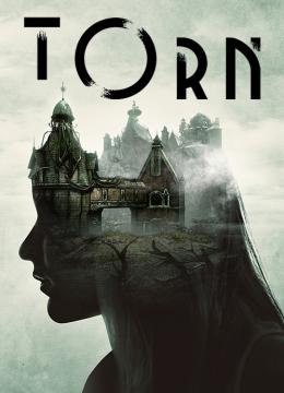 Torn Poster