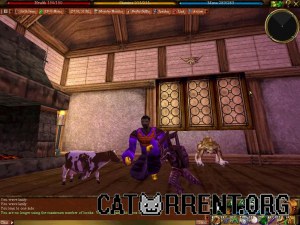 Кадры и скриншоты Asheron's Call