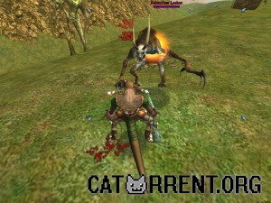 Кадры и скриншоты Asheron's Call 2: Fallen Kings