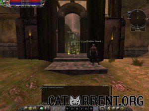 Кадры и скриншоты Asheron's Call 2: Fallen Kings