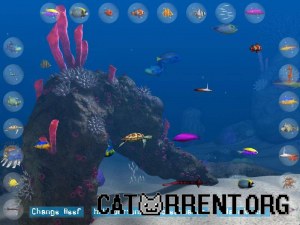 Кадры и скриншоты Big Kahuna Reef