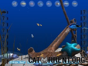 Кадры и скриншоты Big Kahuna Reef 2