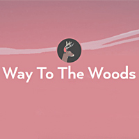 Постер Way to the Woods