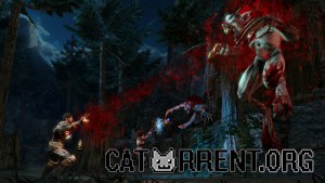 Кадры и скриншоты Blood Knights