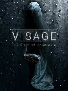 Постер Visage