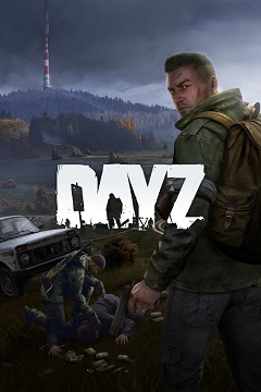 Постер DayZ