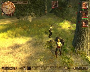 Кадры и скриншоты Drakensang: The Dark Eye