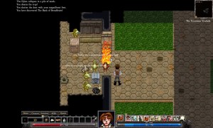 Кадры и скриншоты Dungeons of Dredmor