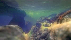 Кадры и скриншоты Feed and Grow: Fish