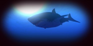 Кадры и скриншоты Feed and Grow: Fish