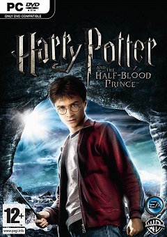 Постер Harry Potter: Quidditch World Cup