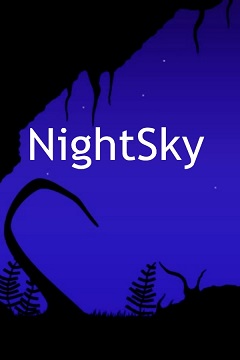 Постер NightSky