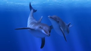 Кадры и скриншоты Ocean Rift