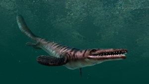 Кадры и скриншоты Ocean Rift