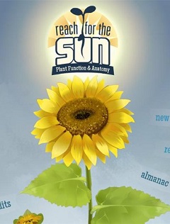 Постер Reach for the Sun