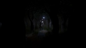 Кадры и скриншоты Roots of Insanity