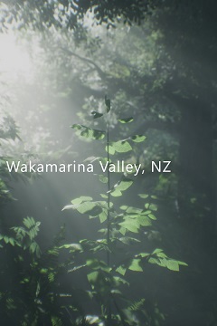 Постер Wakamarina Valley, New Zealand