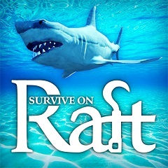 Постер Raft