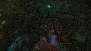 Кадры и скриншоты The Cursed Forest