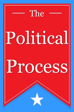 Постер Process of Elimination