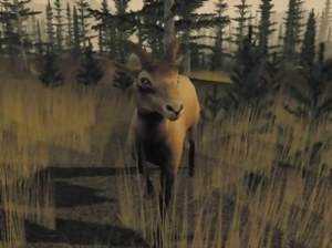 Кадры и скриншоты Trophy Hunter 2003