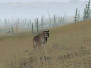 Кадры и скриншоты Trophy Hunter 2003