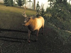 Кадры и скриншоты Trophy Hunter 2003