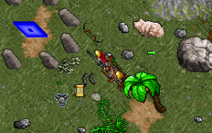 Кадры и скриншоты Ultima VII: The Black Gate