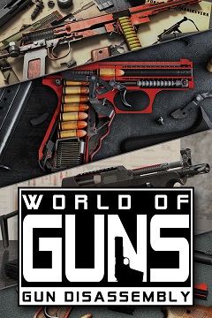 world of guns gun disassembly error