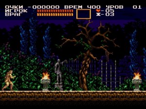 Кадры и скриншоты Castlevania Chronicles