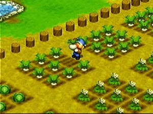 Кадры и скриншоты Harvest Moon: Back To Nature