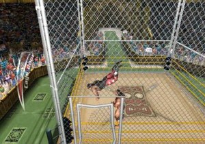 Кадры и скриншоты Legends of Wrestling II