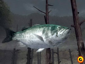 Кадры и скриншоты Reel Fishing III