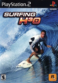 Постер Virtual Surfing