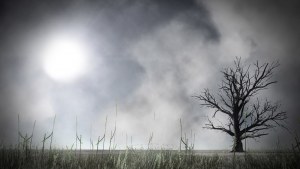 Кадры и скриншоты 'n Verlore Verstand