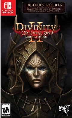 Постер Divinity: Original Sin II - Definitive Edition