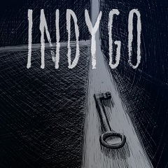 Постер Indygo