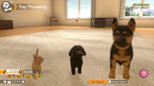 Кадры и скриншоты Little Friends: Dogs & Cats