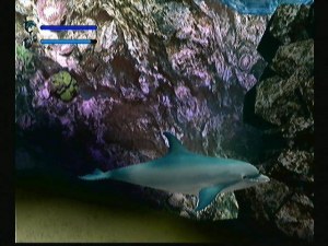 Кадры и скриншоты Ecco the Dolphin: Defender of the Future