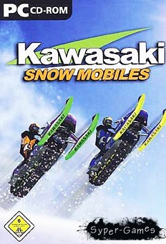 Постер Hawk Kawasaki Racing