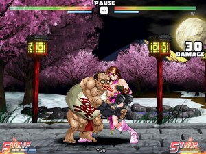 Кадры и скриншоты Strip Fighter 5: Chimpocon Edition