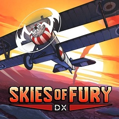 Постер Skies of Fury DX