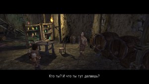 Кадры и скриншоты The Bard's Tale: Remastered and Resnarkled