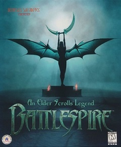 Постер The Elder Scrolls II: Daggerfall