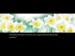 Кадры и скриншоты Narcissu