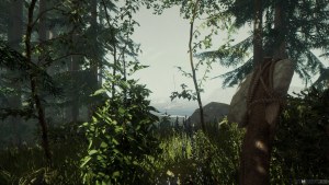 Кадры и скриншоты The Forest