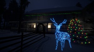 Кадры и скриншоты Lonely Christmas
