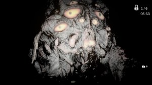 Кадры и скриншоты NOROI KAGO: the Grudged Domain